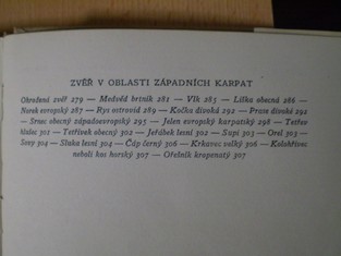 náhled knihy - 
