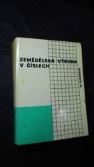 náhled knihy - Zemědělská výroba v číslech