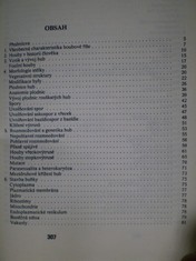 náhled knihy - 
