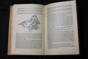náhled knihy - 