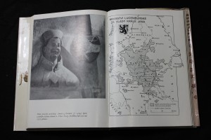náhled knihy - 