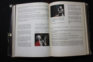náhled knihy - 