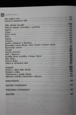 náhled knihy - 