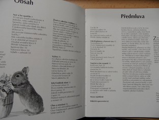 náhled knihy - 