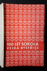 náhled knihy - 100 let Sokola. Velká Bystřice