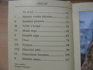 náhled knihy - 