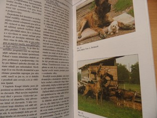 náhled knihy - 