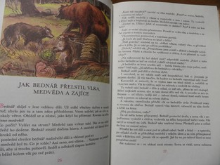 náhled knihy - 