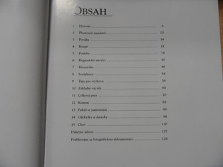 náhled knihy - 