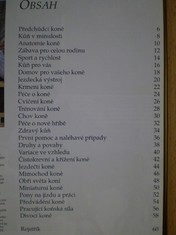 náhled knihy - 
