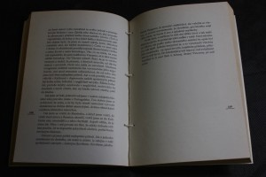 náhled knihy - 