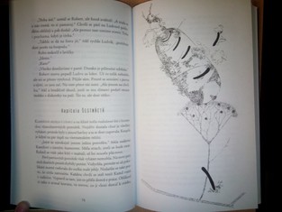 náhled knihy - 