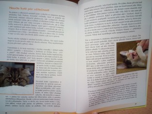 náhled knihy - 