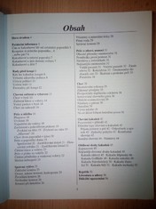 náhled knihy - 