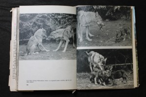 náhled knihy - 