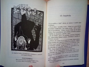 náhled knihy - 
