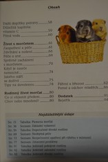 náhled knihy - 