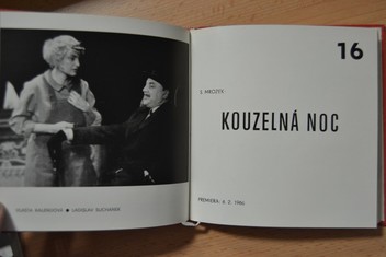 náhled knihy - 