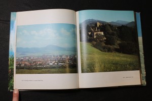 náhled knihy - 