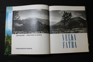 náhled knihy - 