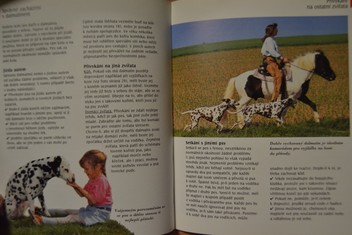 náhled knihy - 