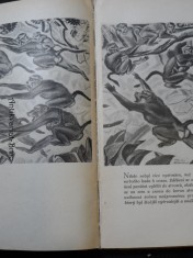 náhled knihy - 