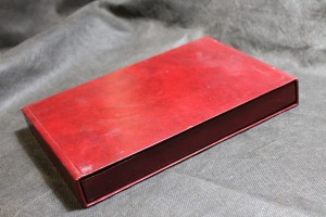náhled knihy - Hrdinové našich dnů, vyznamenaní na Pražském hradě v roce 30. výročí osvobození Československa Sovětskou armádou a vyvrcholení národně osvobozeneckého boje českého a slovenského lidu proti hitlerovskému fašismu