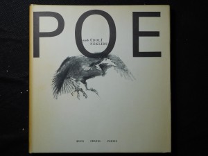 náhled knihy - POE aneb Údolí neklidu