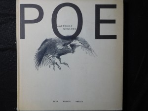 náhled knihy - POE aneb Údolí neklidu
