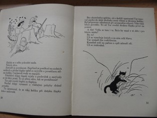 náhled knihy - 