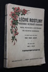náhled knihy - Léčivé rostliny : (herbář) : jejich popis, pěstování a upotřebení