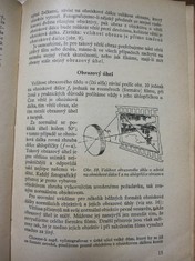 náhled knihy - 