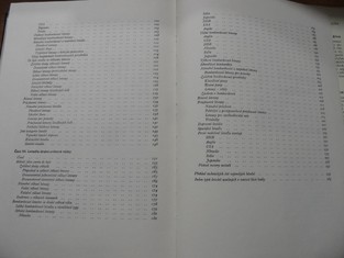 náhled knihy - 
