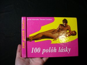 náhled knihy - 100 polôh lásky