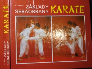 náhled knihy - Základy sebeobrany Karate