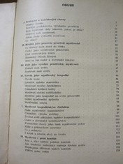 náhled knihy - 