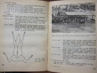 náhled knihy - 
