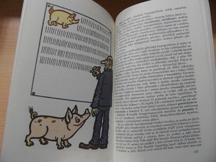 náhled knihy - 