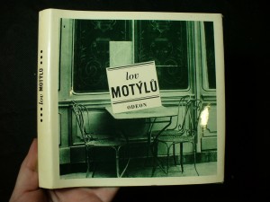 náhled knihy - Lov motýlů : francouzské šansony ve výběru, přebásnění a parafrázích Pavla Kopty