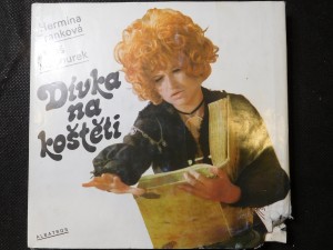 náhled knihy - Dívka na koštěti