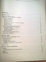 náhled knihy - 
