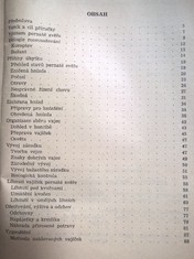 náhled knihy - 