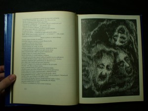 náhled knihy - 