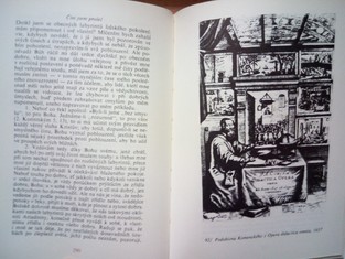 náhled knihy - 