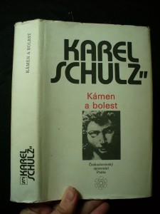 náhled knihy - Kámen a bolest