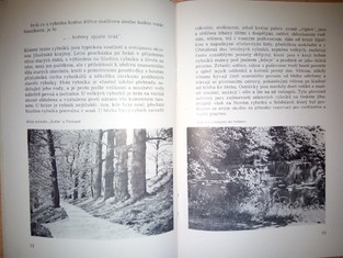 náhled knihy - 