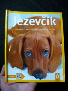 náhled knihy - Jezevčík : jak o něj správně pečovat a jak mu rozumět : rady odborníka ke správnému chovu