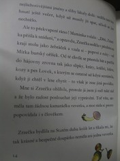 náhled knihy - 