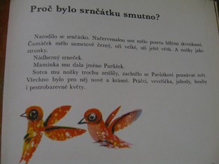náhled knihy - 