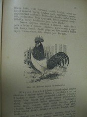 náhled knihy - 